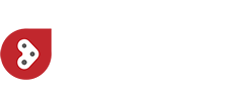 LITE-WIRE